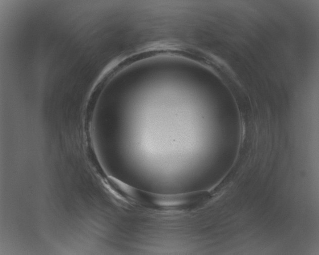 X0000053061168200507111144