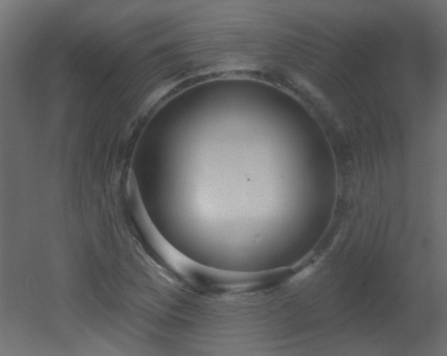 X0000053061169200507111144