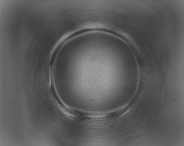 X0000053061175200507111144