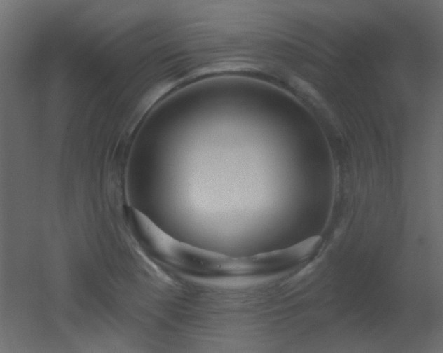 X0000053061177200507111144