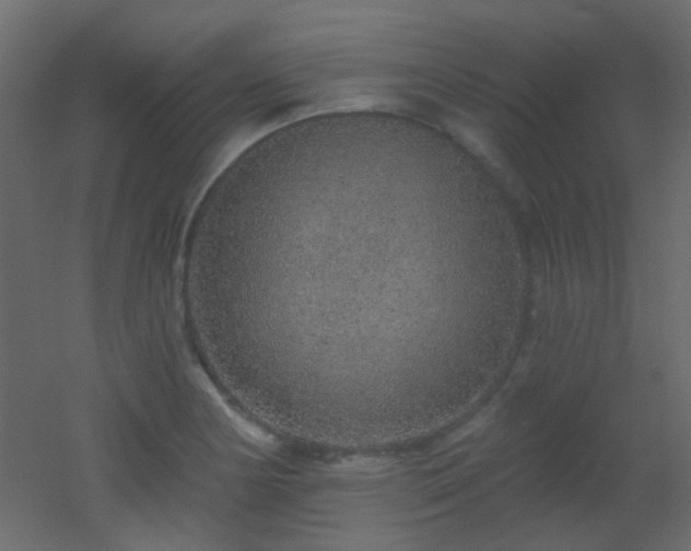 X0000053061178200507111144