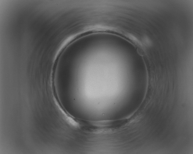 X0000053061183200507111144