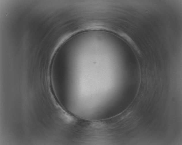 X0000053061191200507111144