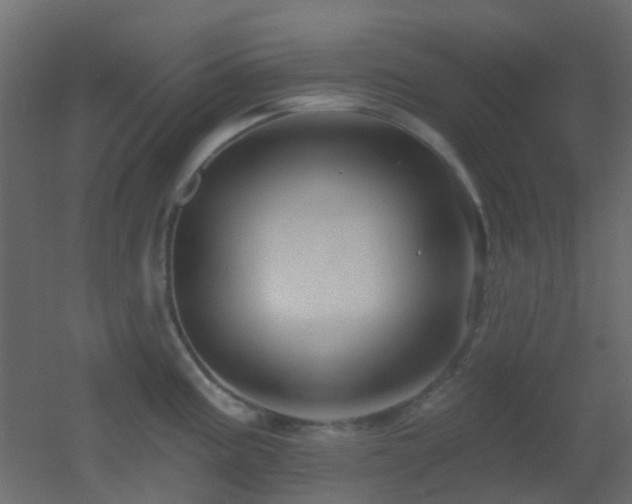 X0000053061195200507111144