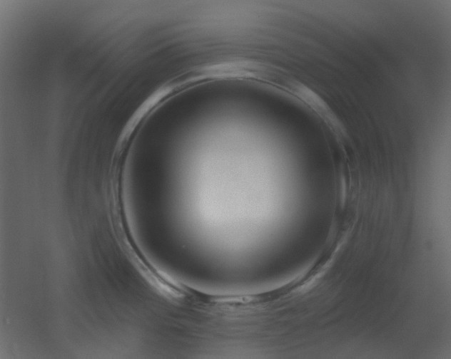 X0000053061196200507111144