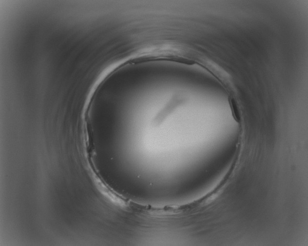 X0000053061200200507111144