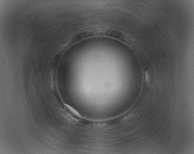 X0000053061203200507111143