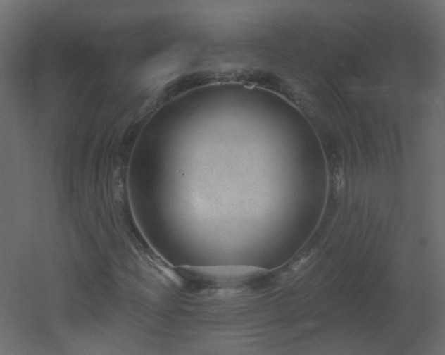 X0000053061204200507111143