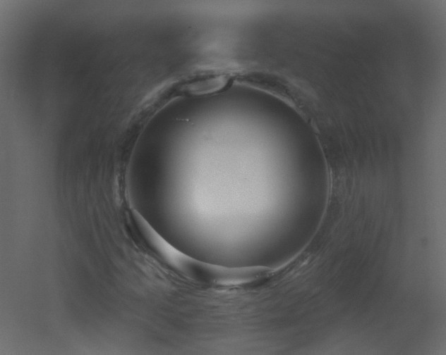 X0000053061205200507111143