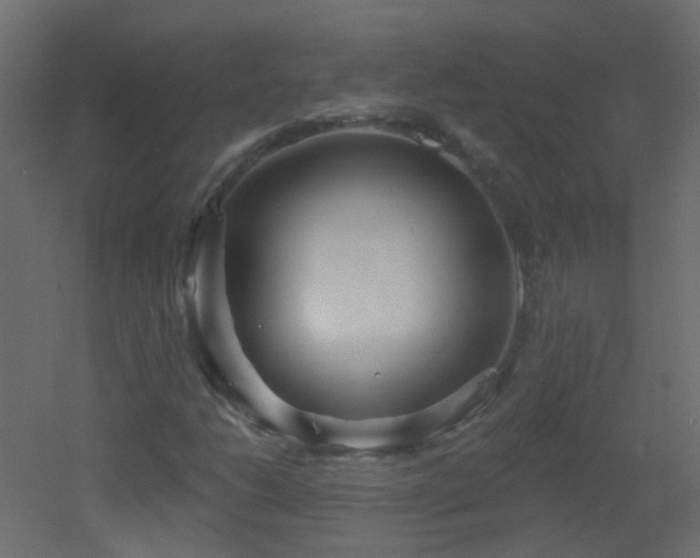 X0000053061206200507111143