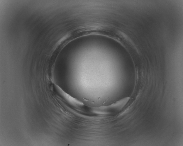 X0000053061210200507111143