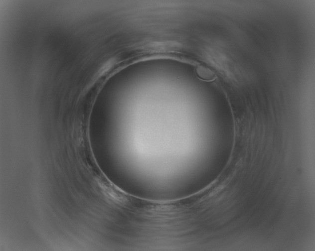 X0000053061211200507111143