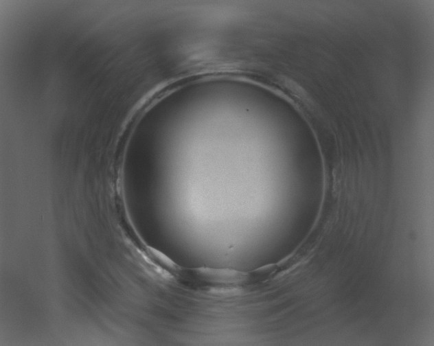 X0000053061212200507111143