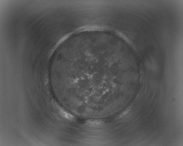 X0000053061213200507111143