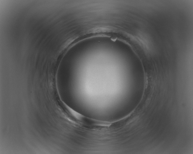 X0000053061217200507111143