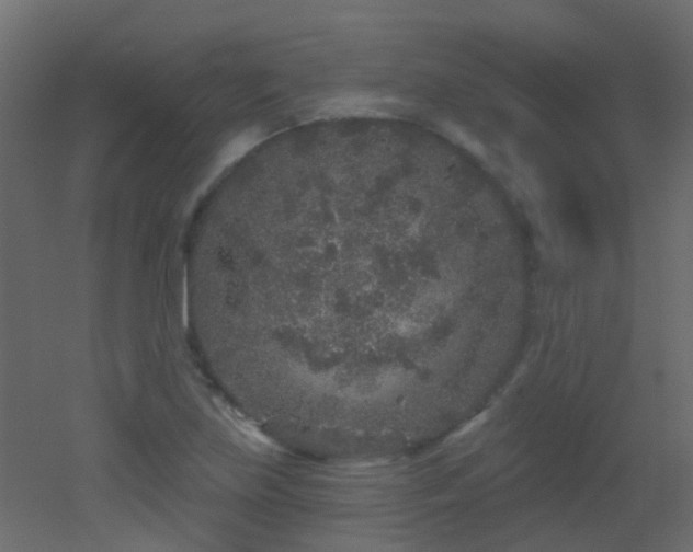 X0000053061219200507111143