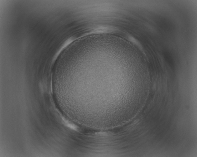 X0000053061227200507111143