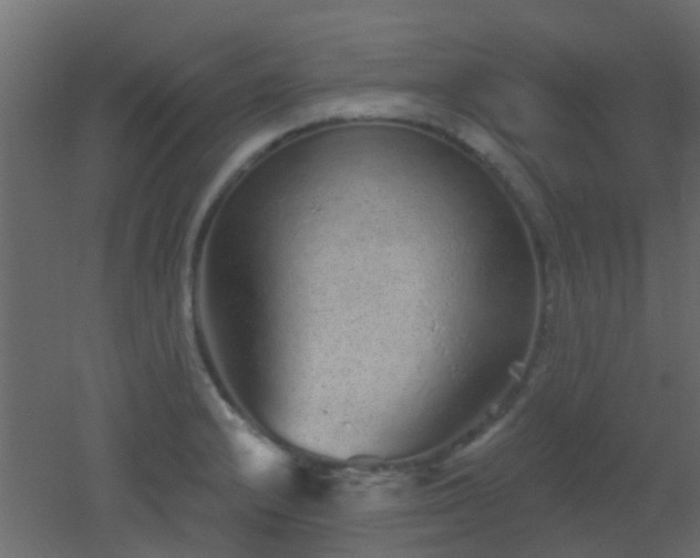 X0000053061232200507111143