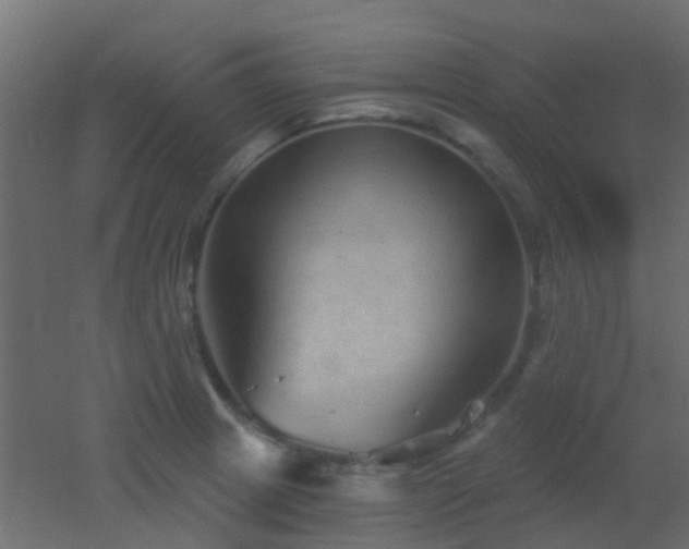 X0000053061233200507111143
