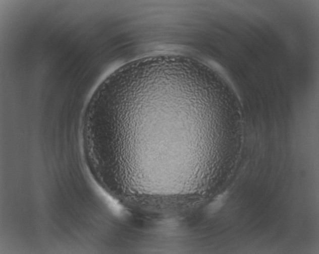 X0000053061235200507111144