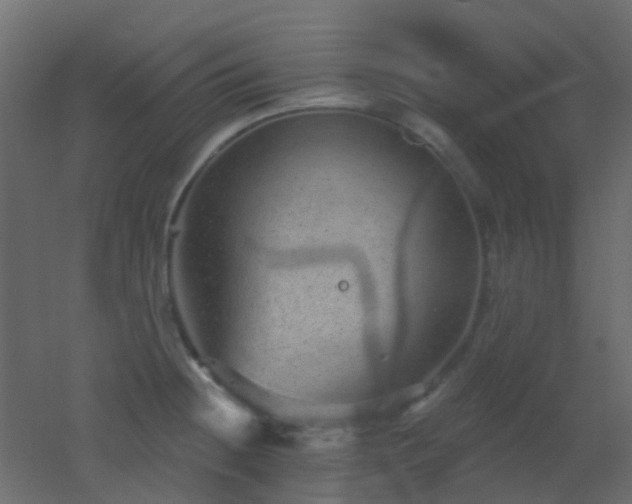 X0000053061236200507111144