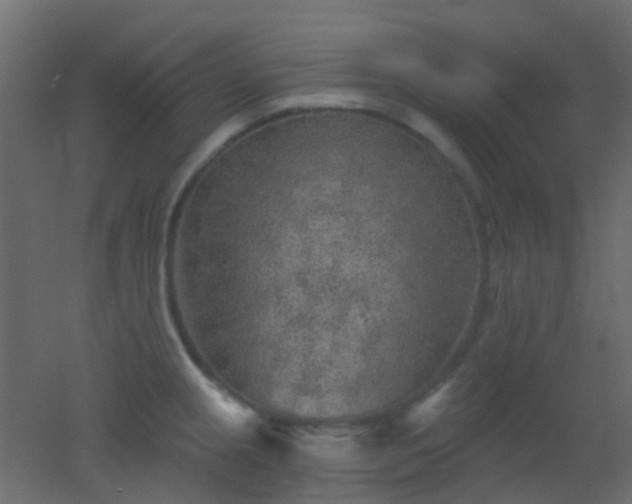 X0000053061237200507111144