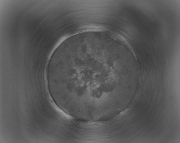 X0000053061243200507111144