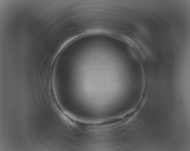 X0000053061244200507111144