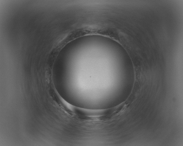 X0000053061253200507111143