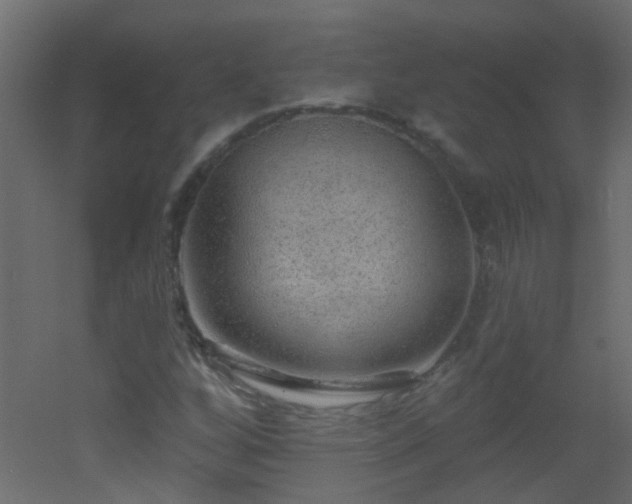 X0000053061256200507111143