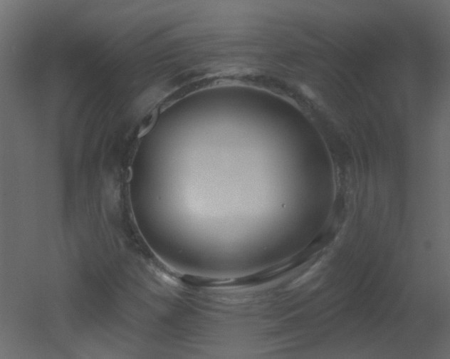 X0000053061257200507111143
