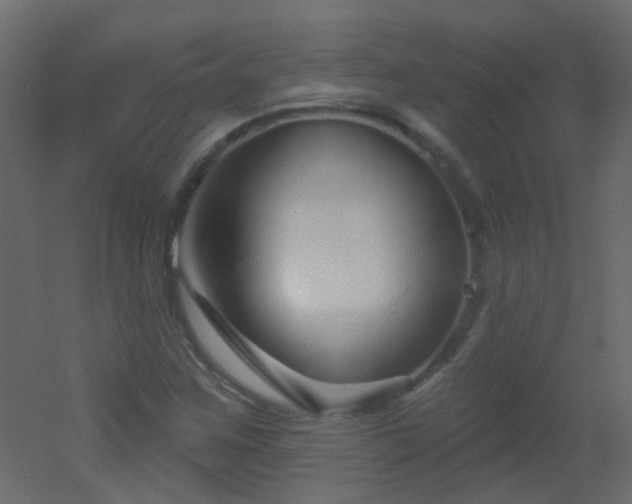 X0000053061259200507111143