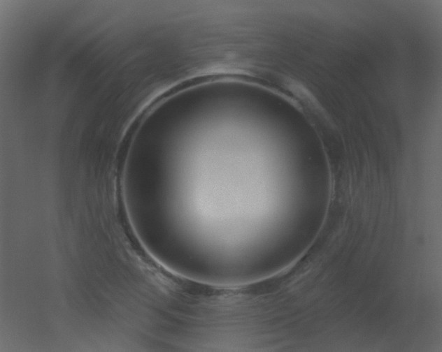 X0000053061268200507111143
