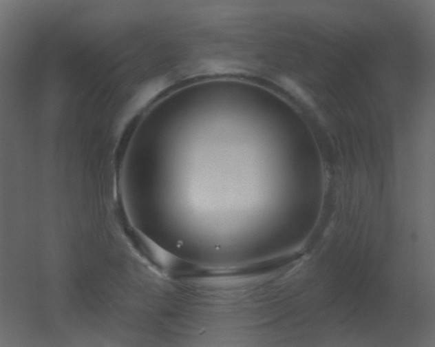 X0000053061269200507111143