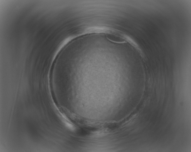 X0000053061283200507111142