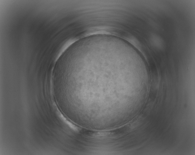 X0000053061290200507111142