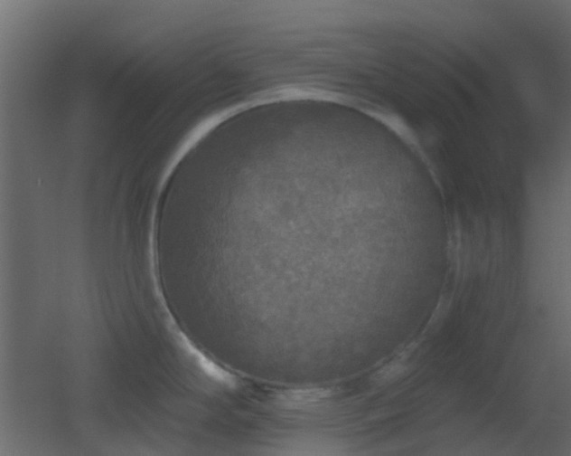 X0000053061294200507111142