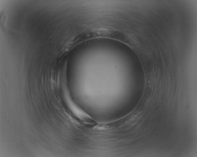 X0000053061298200507111141
