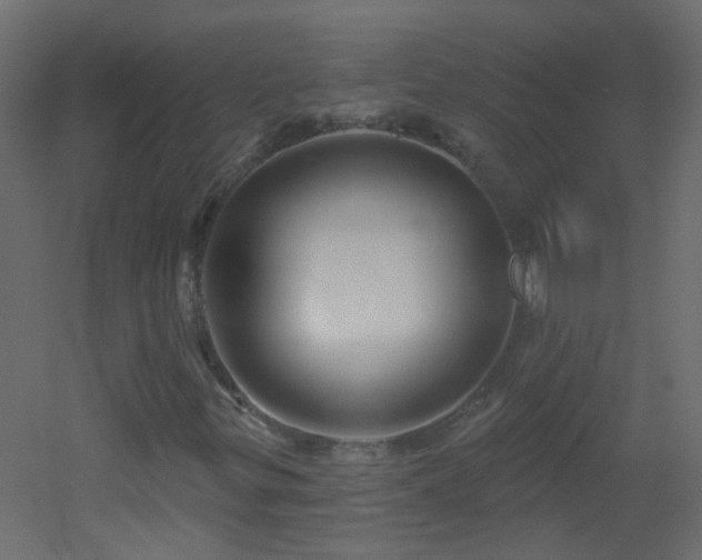 X0000053061299200507111141