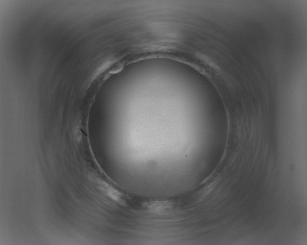 X0000053061306200507111141