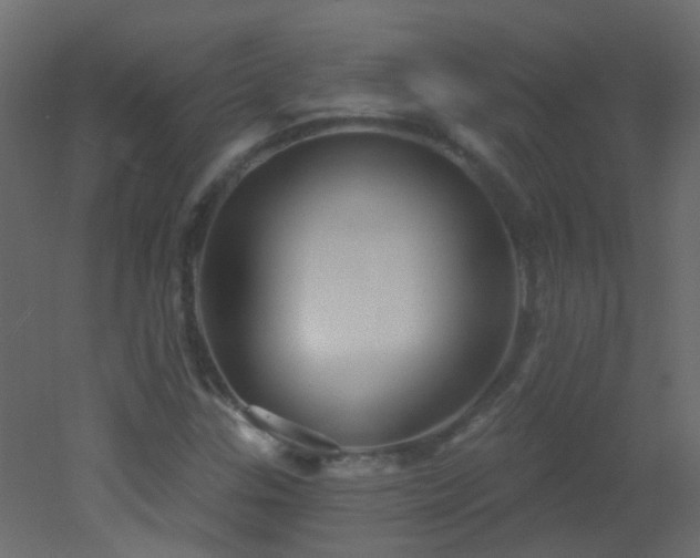 X0000053061307200507111141