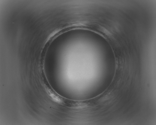 X0000053061308200507111141