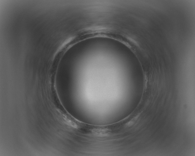 X0000053061309200507111142