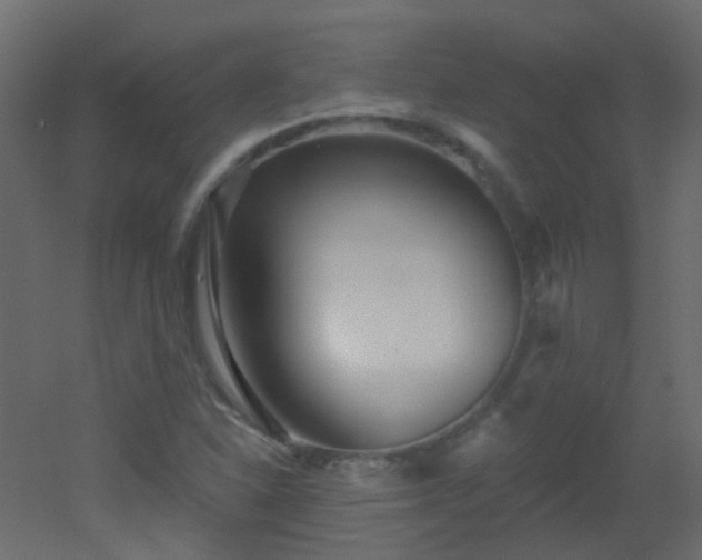 X0000053061310200507111142
