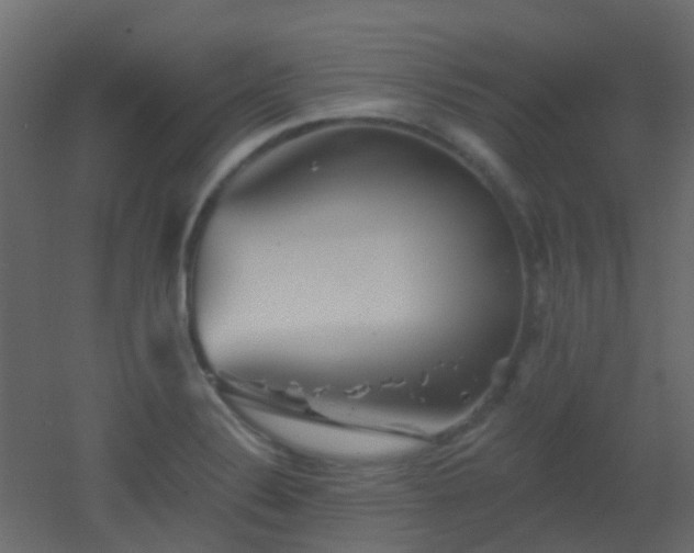 X0000053061324200507111142