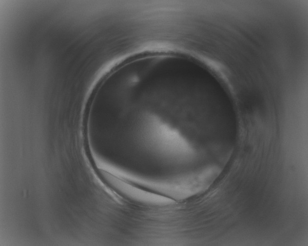 X0000053061327200507111142