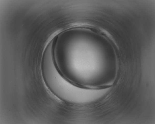 X0000053061330200507111142