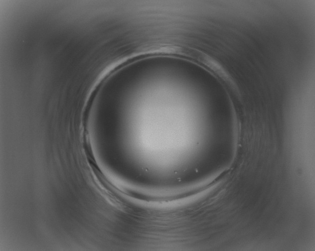 X0000053061332200507111142