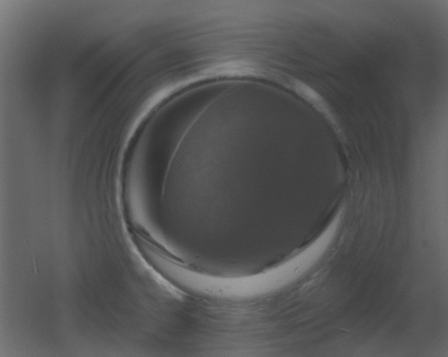 X0000053061334200507111142