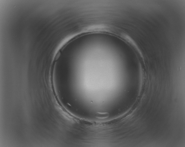 X0000053061336200507111142